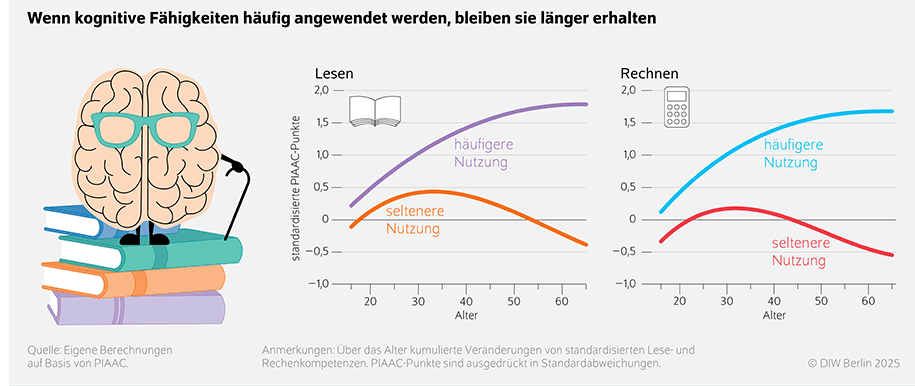 DIW: Abbau kognitiver Kompetenzen beginnt später als gedacht DIW: Abbau kognitiver Kompetenzen beginnt später als gedacht