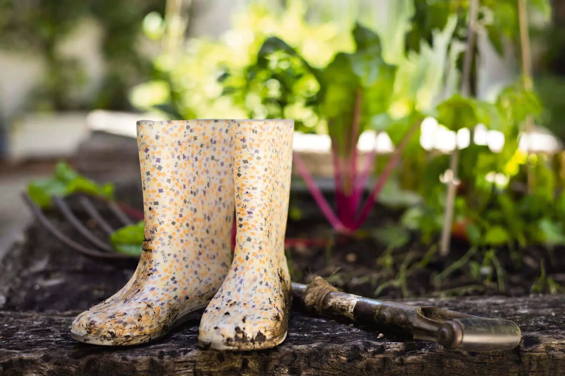 Gummistiefel und eine Gartenharke vor einem Gemüsebeet.